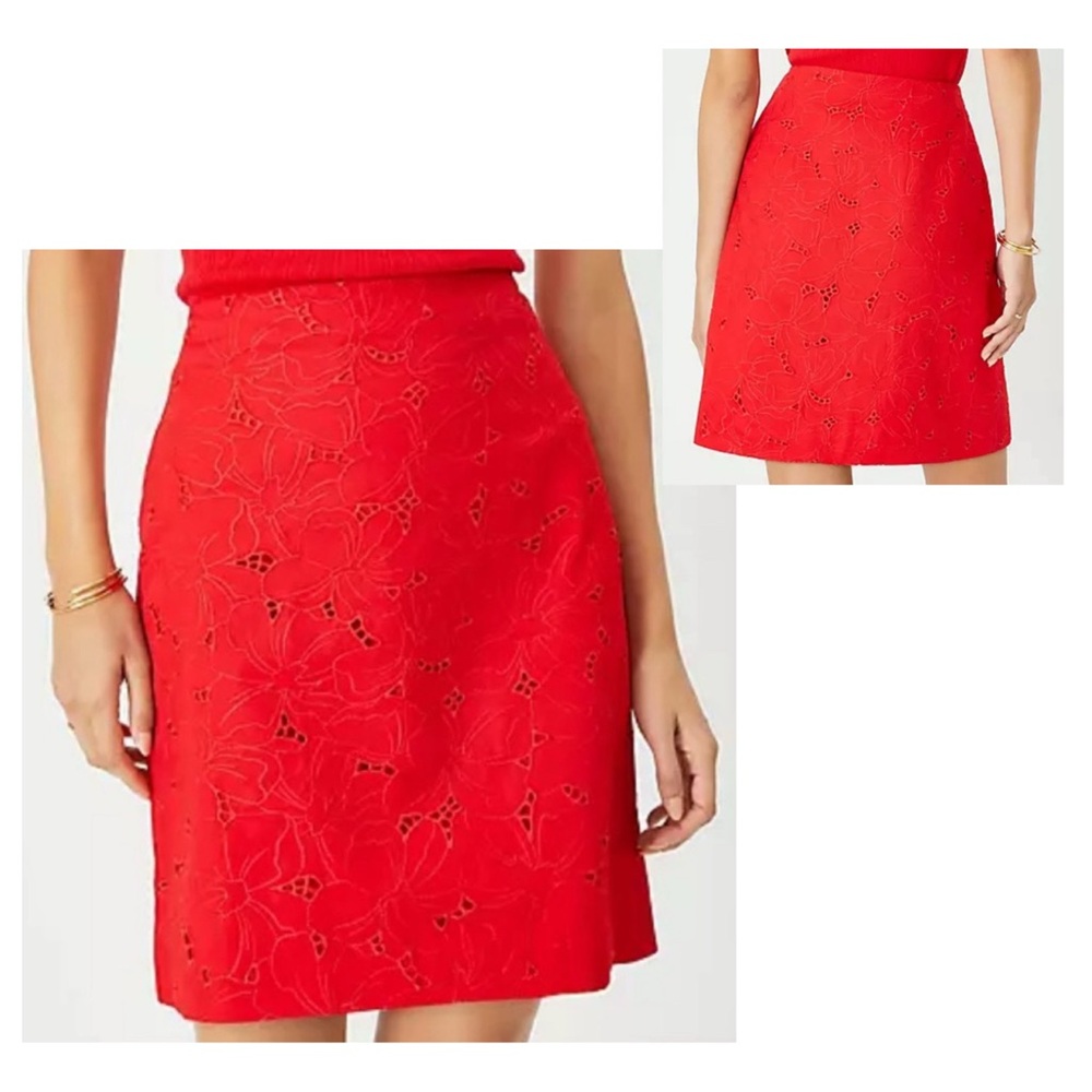 Ann Taylor Eyelet Skirt • Size 10